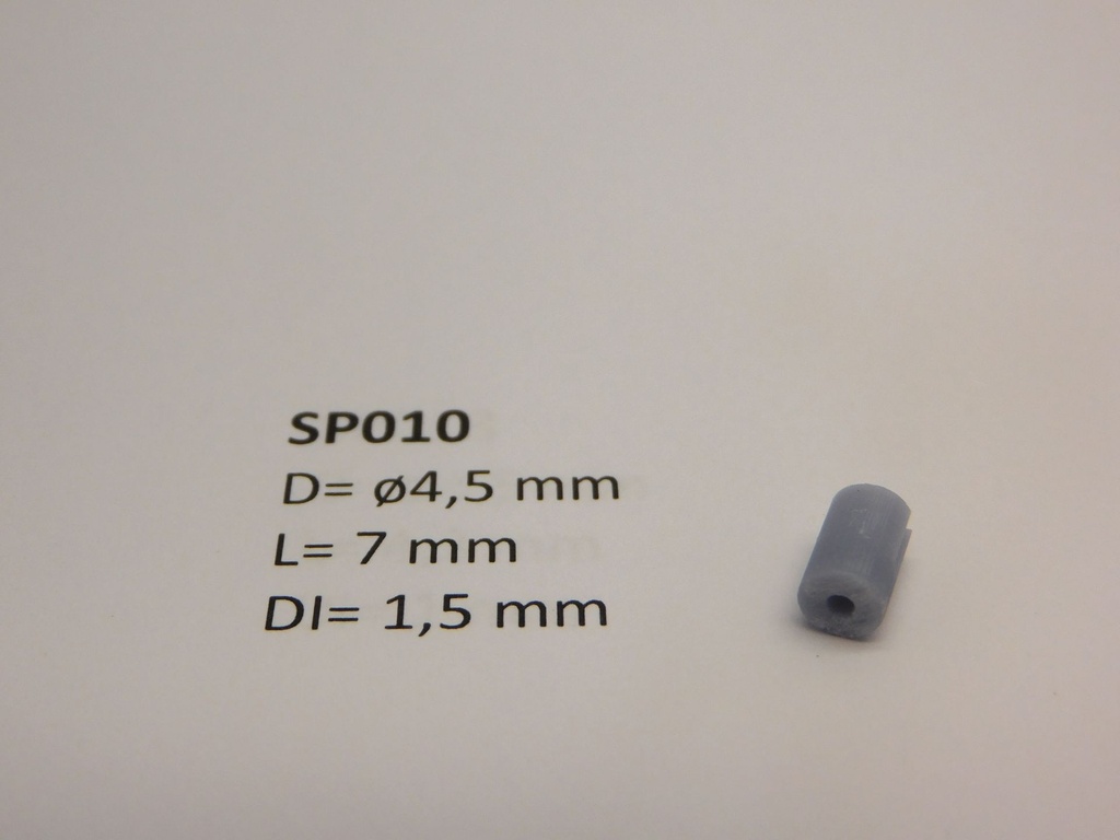 SP010 B.JPG