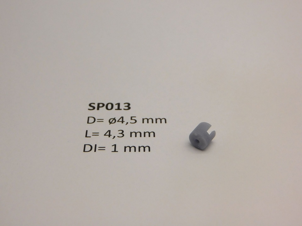 SP013 B.JPG
